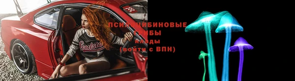 альфа пвп Медногорск