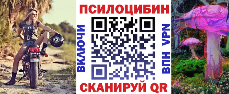Псилоцибиновые грибы GOLDEN TEACHER  продажа наркотиков  Нерехта 